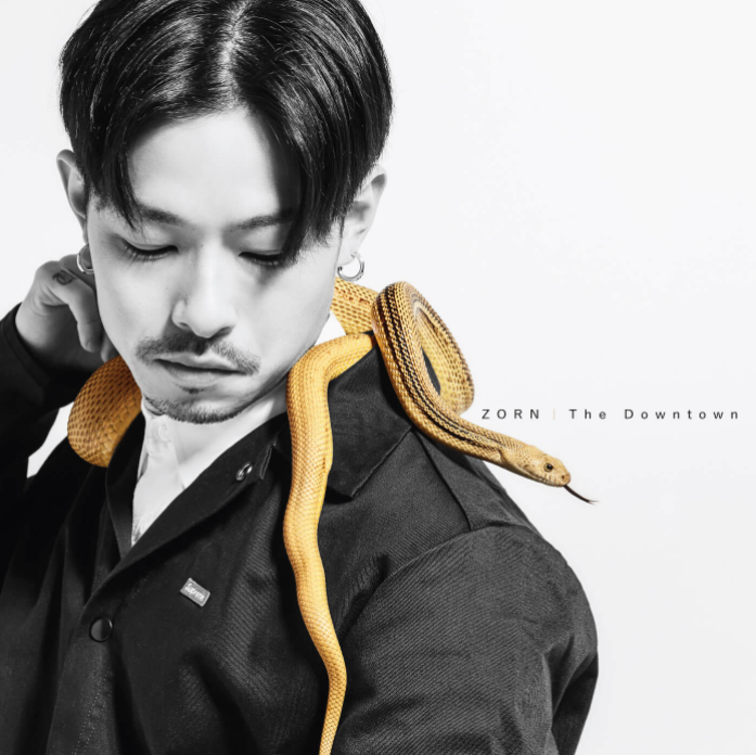 ZORNとは?生い立ちやファッションなど詳しく紹介します